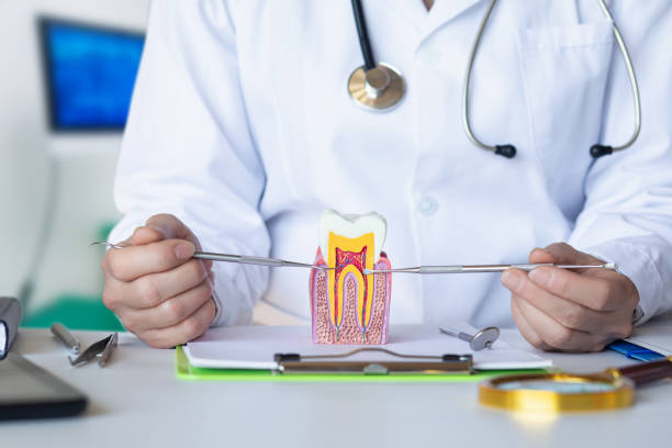 Best Knocked-Out Tooth Emergency  in Springboro, OH